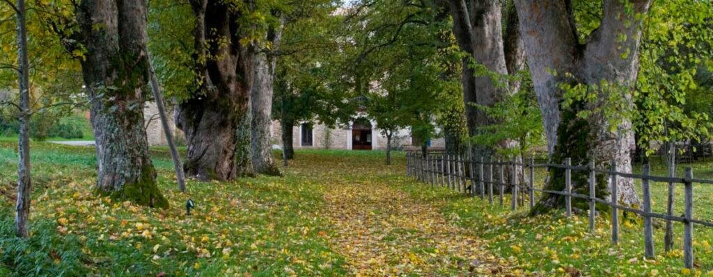 Il parco Old Calabria