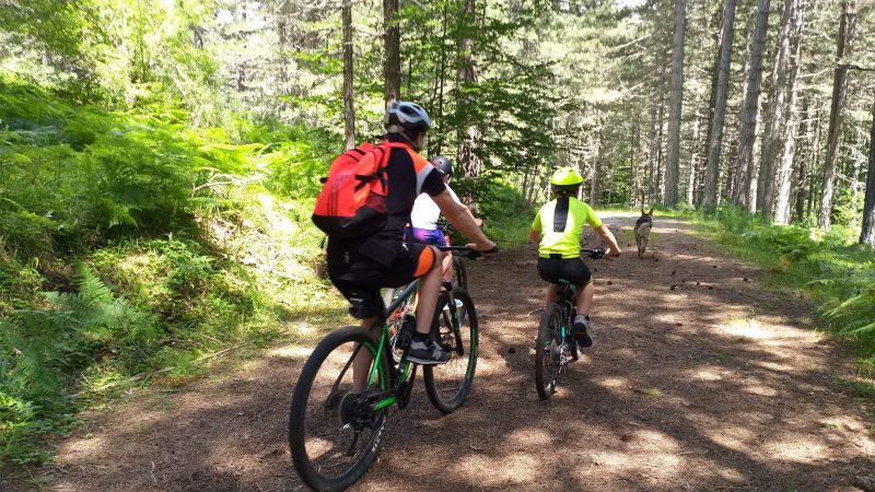 Mountain bike nei boschi della Sila