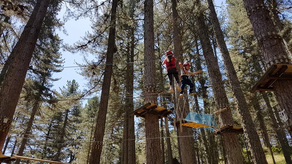 Parco avventura tra gli alberi