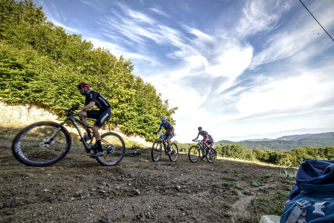 Escursione in mountain bike